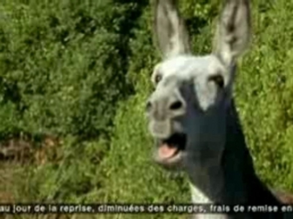 vidéos - kewego