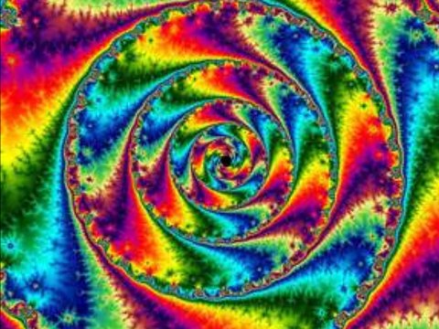 BORN TO BE WILD COVER/BILL FROEHLICH