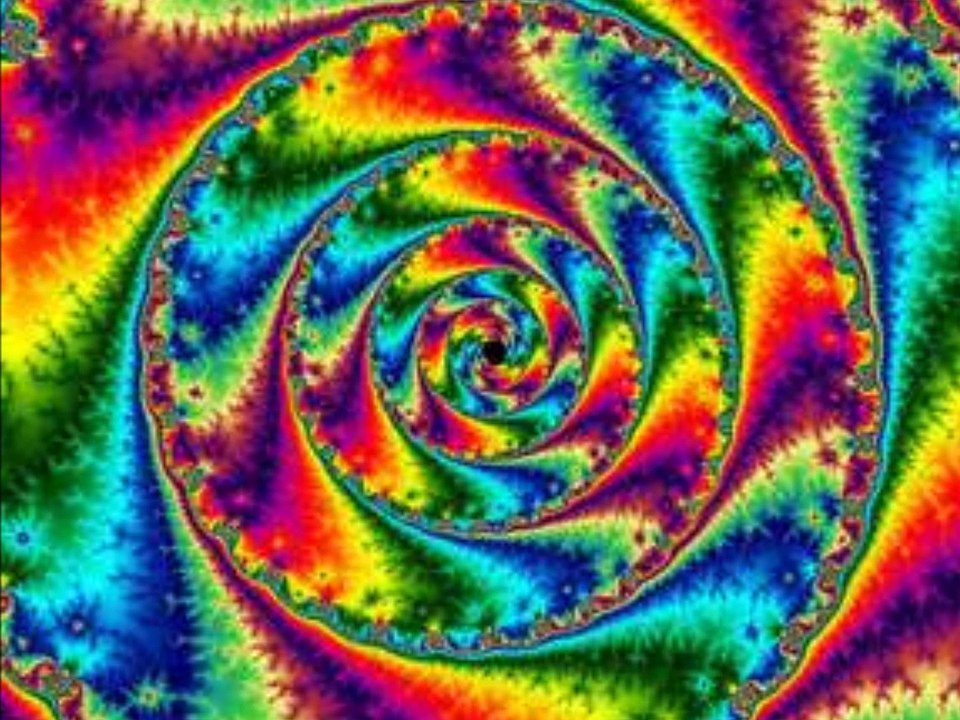 BORN TO BE WILD COVER/BILL FROEHLICH