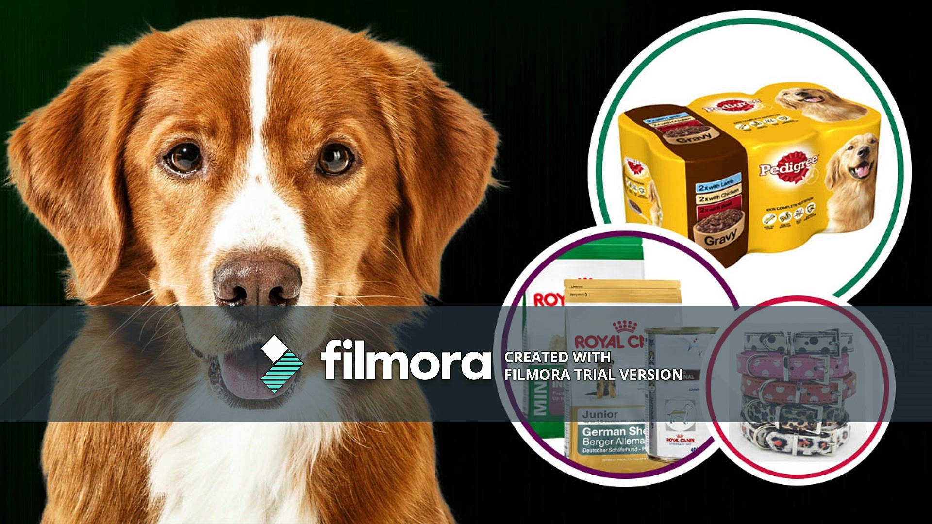 Dog food online | Cat food | bird food | Buy dog food online