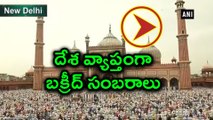 Muslims Across India Celebrates Id-ul-Zuha : Video