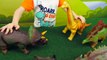 Dinosaures pour enfants D jouets pro Dinosaures dinosaures dinosaures dinosaures Vidéo