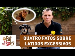 Pet Na Pan #15 - Quatro fatos sobre latidos excessivos