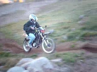 mur mob Dorian brout