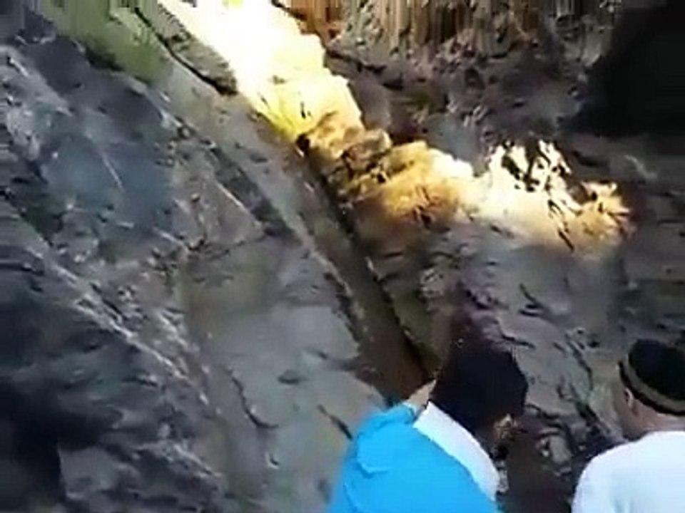 خدا کا ایک شاندار معجزہ