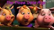 THE THREE LITTLE PIGS & The Big Bad Wolf | Fairy tale for kids | 3 Little Pigs Story