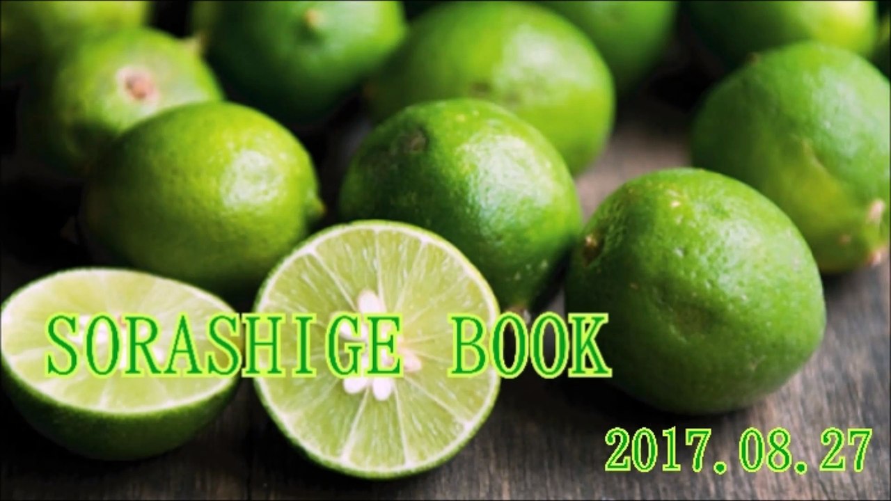 SORASHIGE BOOK#20170827