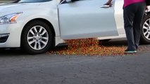 Il remplie la voiture de sa mère avec 1 million de Skittles... Blague énorme