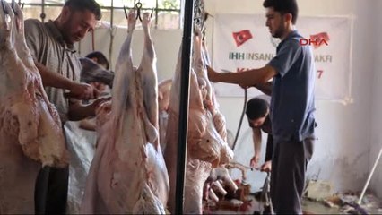 Hatay İhh, Suriye'de 7 Bin 490 Hisse Kurban Kesti