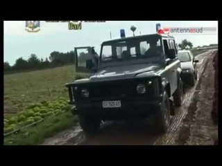 TG 04.07.14 Truffa da 3 mln allo Stato, 1314 falsi braccianti