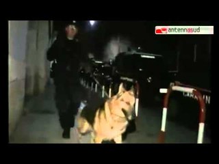 TG 14.07.14 È un ingegnere fotovoltaico l'uomo ucciso a Faggiano (Ta)