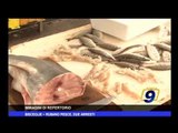 Bisceglie | Rubano pesce, due arresti