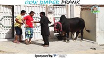 Cow Diaper Prank - By Nadir Ali In P4 Pakao 2017