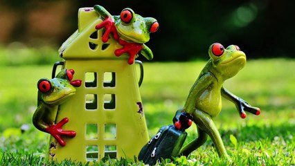 J'ai Volé La Chaîne De Satine Walle // Juju Def