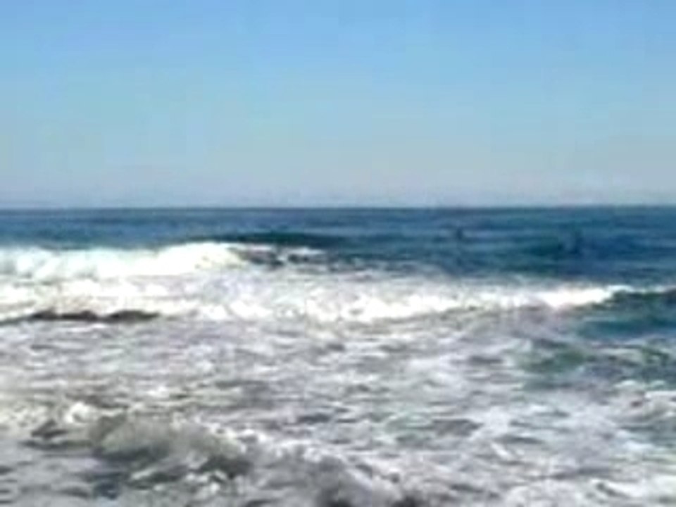 MOV00013