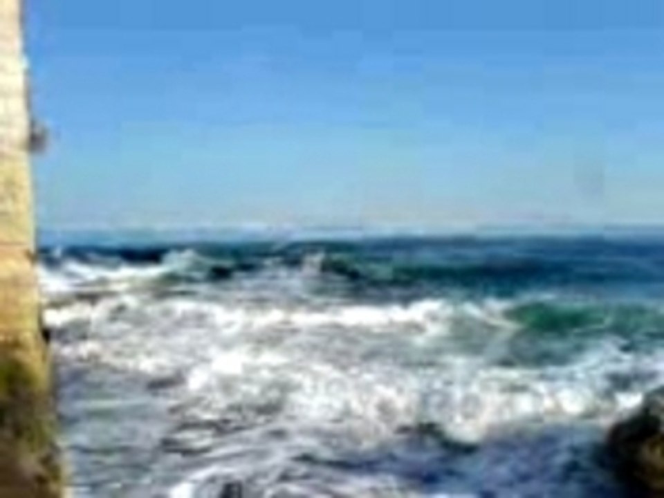MOV00015