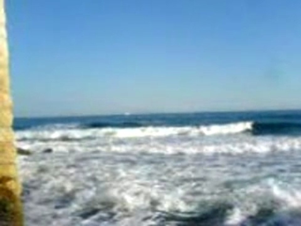 MOV00019