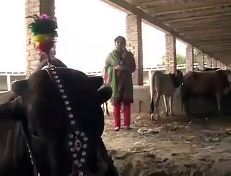 See What Happened With Dawn News Female Reporter