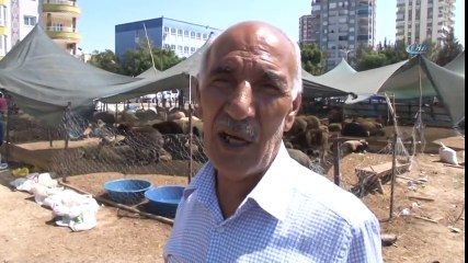 Hayvan Pazarında Silahlı Saldırı: 3 Yaralı