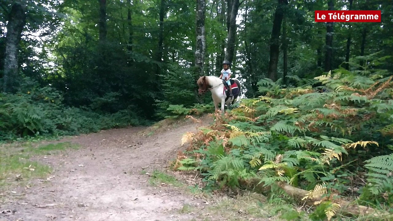 Loudéac. Le poney, c'est le dada de Maélane, 4 ans !