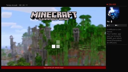 Venez Nombreux a mon live (74)