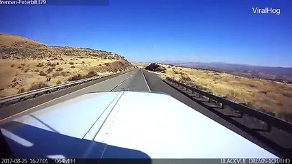 640x360_MP4_4175606411953550256