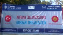 Türkiye Diyanet Vakfı Kırgızistan'da 1100 Hisse Kurban Eti Dağıttı