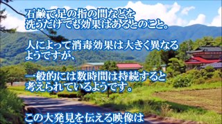 【日本】海外「この子は救世主だ！」 日本の高校生による世界的大発見が話題に