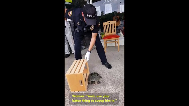 Ce policier a une peur bleue des tortues... Trop drole