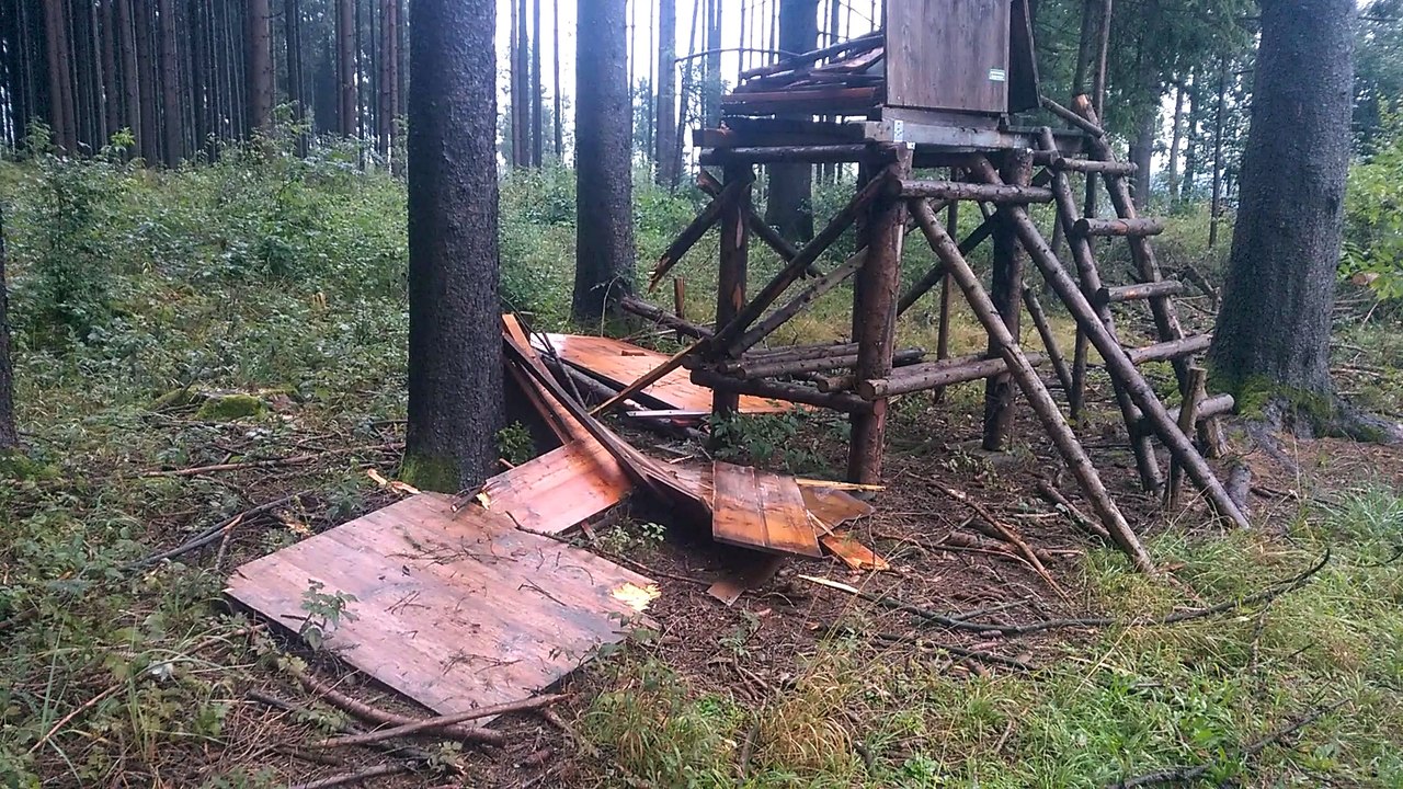 Durch einen umgefallenen Baum wurde dieser Hochsitz völlig zerstört