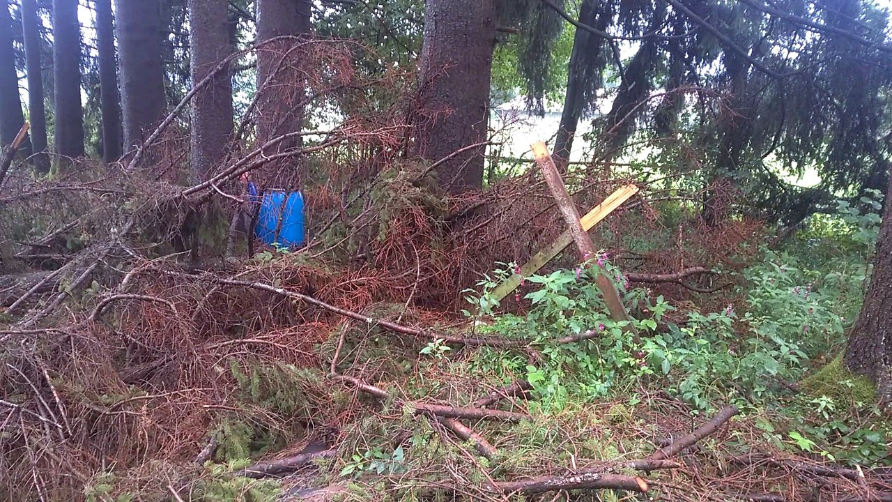 Durch Forstarbeiten zerstörte Fütterung vom Jagdaufseher Tactical-Dad