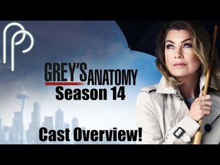 Grey's Anatomy | Season 14 Cast Overview