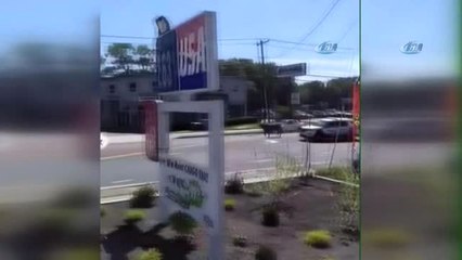 New York'ta Kaçan Kurbanlık Ortalığı Karıştırdı