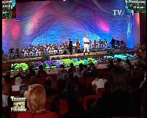 Dinu Iancu Salajanu - Draga mi-i lelita-n joc