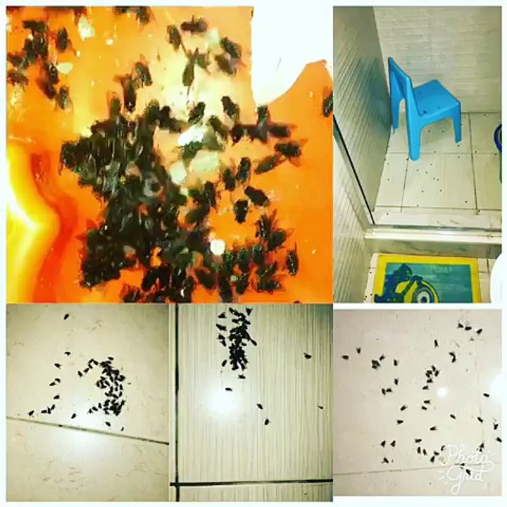 What Tonto Dikeh Found In Her Son's Room