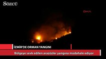 İzmir Ödemiş'te orman yangını