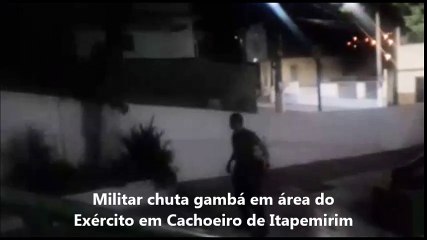 Militar chuta gambá em área do Exército em Cachoeiro