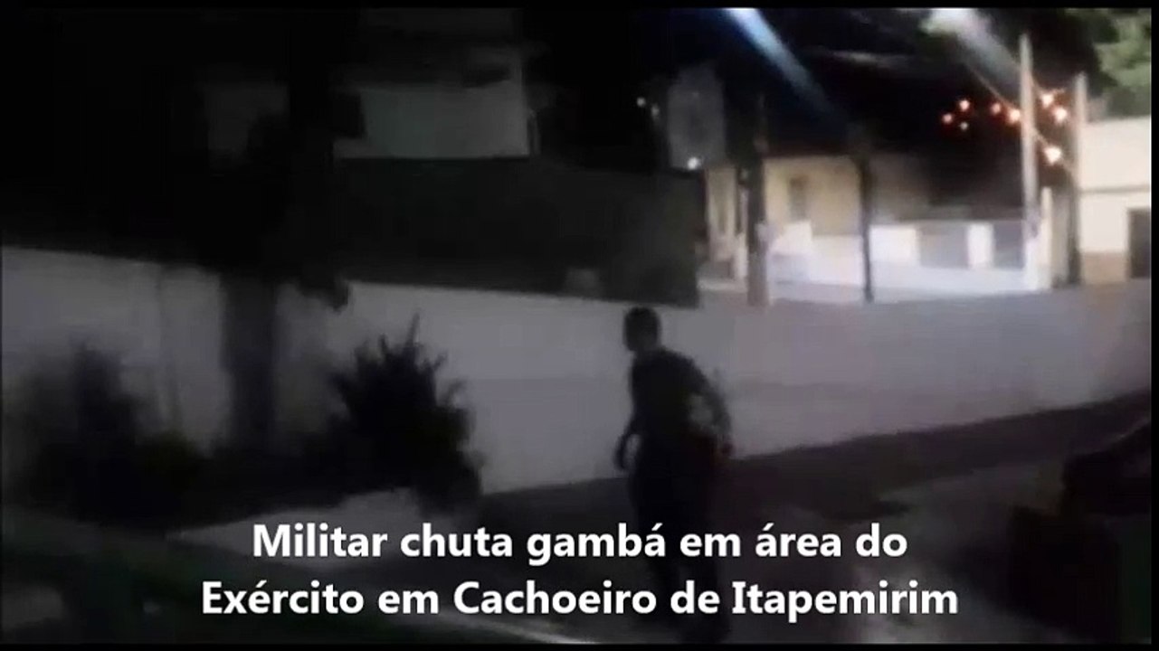 Militar chuta gambá em área do Exército em Cach...