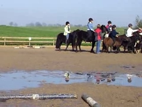 Stage debourrage poulain 147