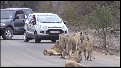 The Great Merical Of Allah Great Video Ever Must watch