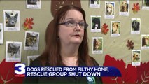 Rescue Group Shut Down, Dogs Removed From Filthy Home After Pictures Go Viral