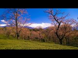 Vlog #6 : Sightseeing in Kangra District