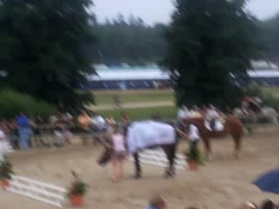 Lamotte Beuvron 2007