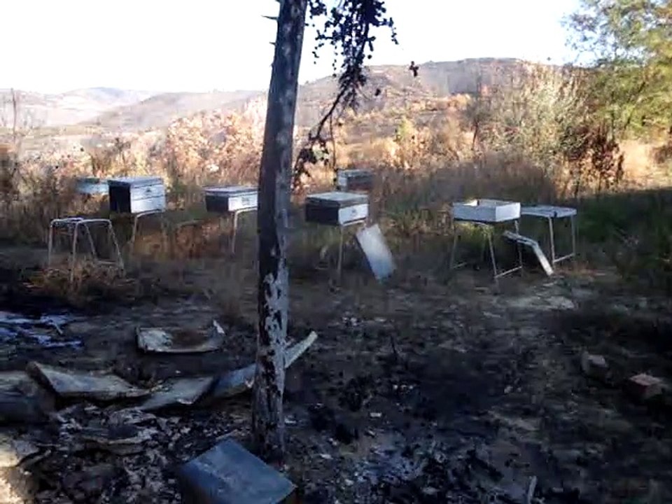 Πυρκαγιά έκαψε ολοσχερώς μελισσοκομείο σε Μοναστήρι.