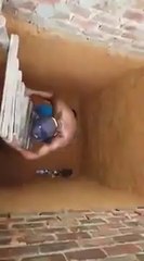 Man Gets Trolled By A Cat When He Goes For Its Rescue Posting UlangS