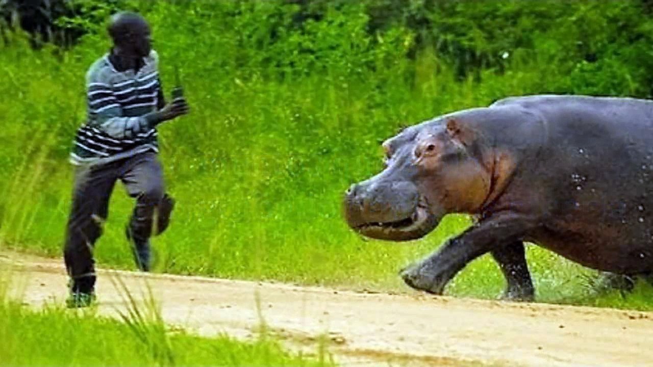 7 momentos que si no los hubieran grabado nadie los creería   parte 14