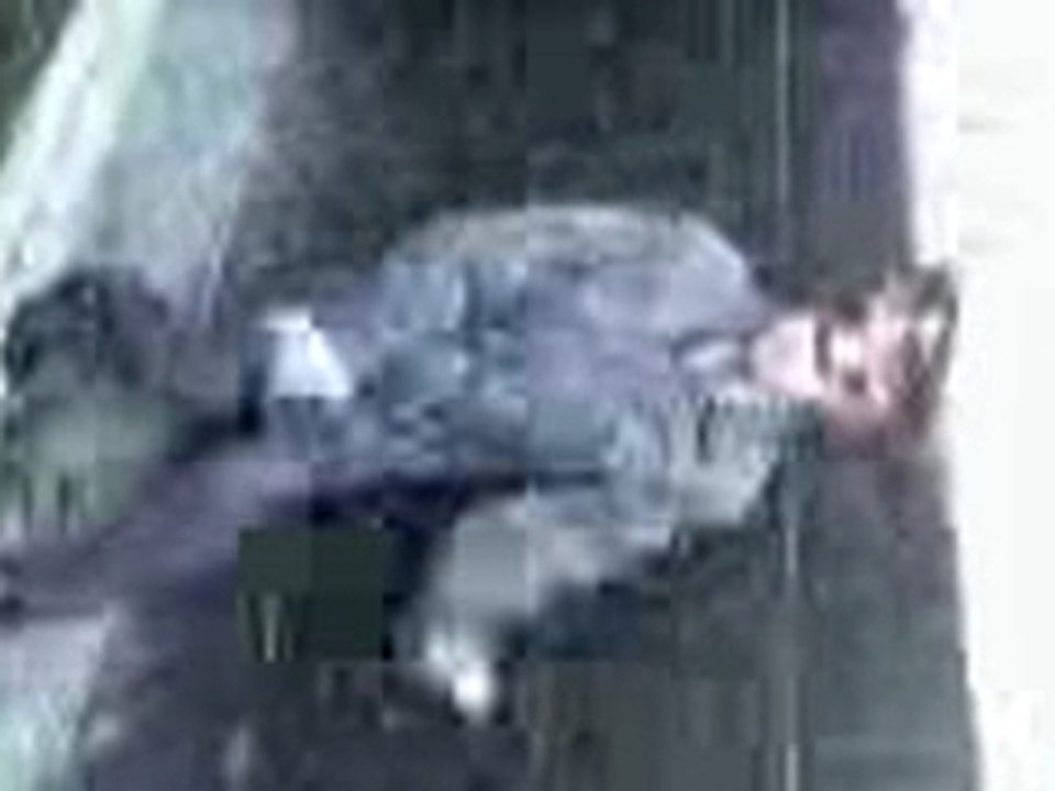 Police