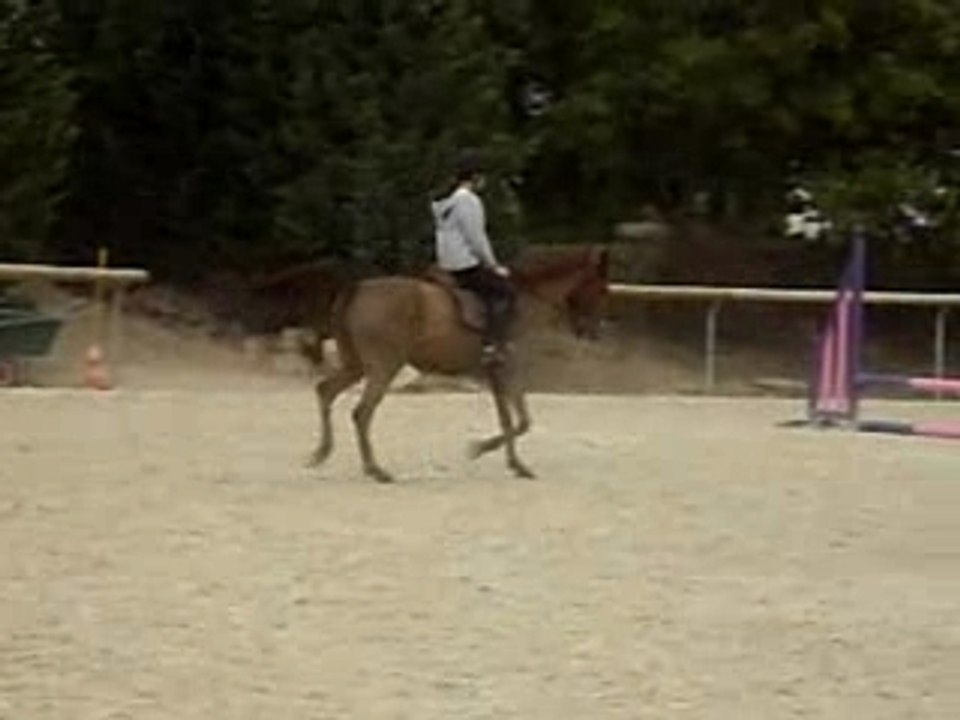 IMGP3991