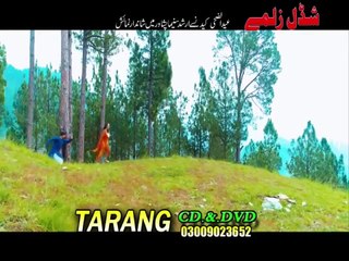Pashto New HD Film Songs Hits Shadaal Zalme Hits 5