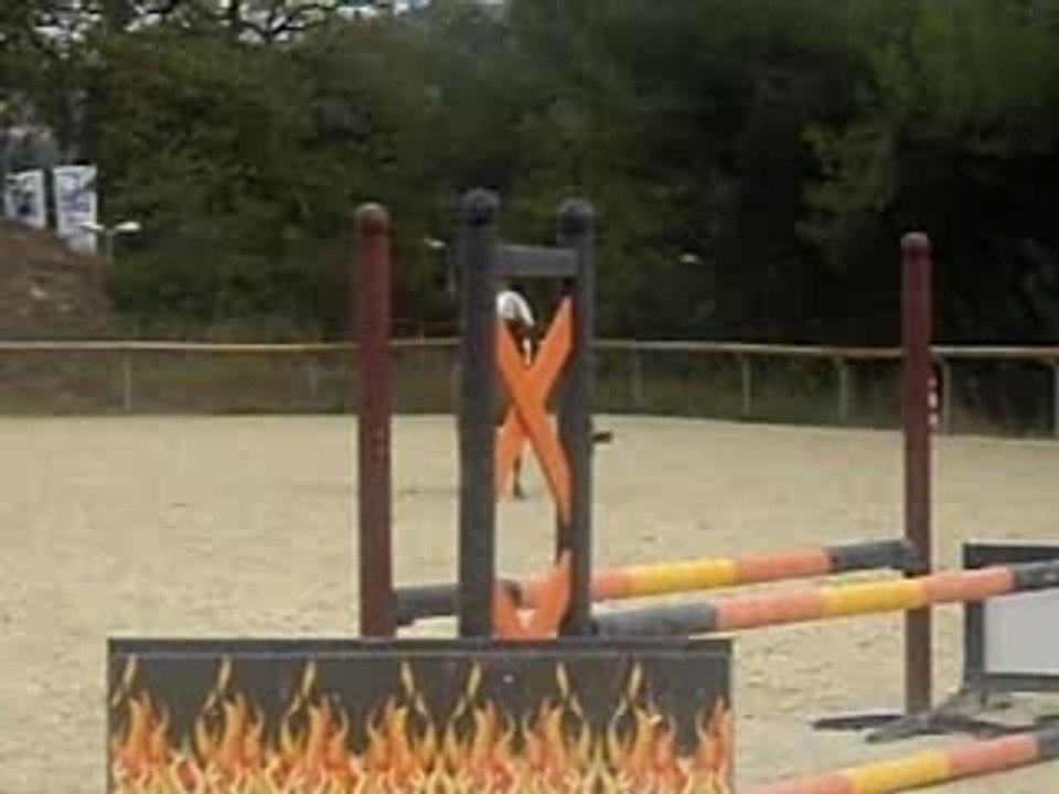 IMGP3992